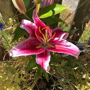 Meet your Posher, Nathaniel